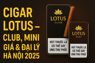 Cigar Lotus 2025 – Club, Mini, Giá & Đại Lý Uy Tín Tại Hà Nội