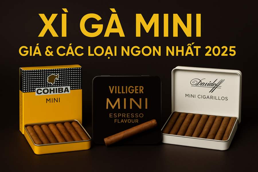 Xì Gà Mini – Giá, Cách Hút, Các Loại Ngon Nhất & Địa Chỉ Mua Uy Tín