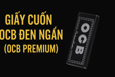 Giấy Cuốn OCB Đen Ngắn (OCB Premium) – Lựa Chọn Hoàn Hảo Cho Tín Đồ Thuốc Lá Cuốn