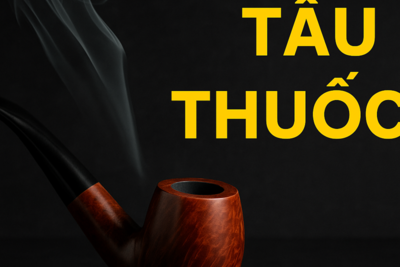 Tẩu Thuốc – Ý Nghĩa, Phân Loại & Cách Chọn Tẩu Thuốc Chuẩn Cho Người Mới