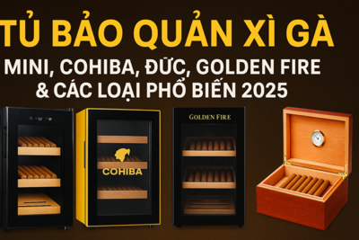 Tủ Bảo Quản Xì Gà Mini, Cohiba, Đức, Golden Fire – Giá & Review
