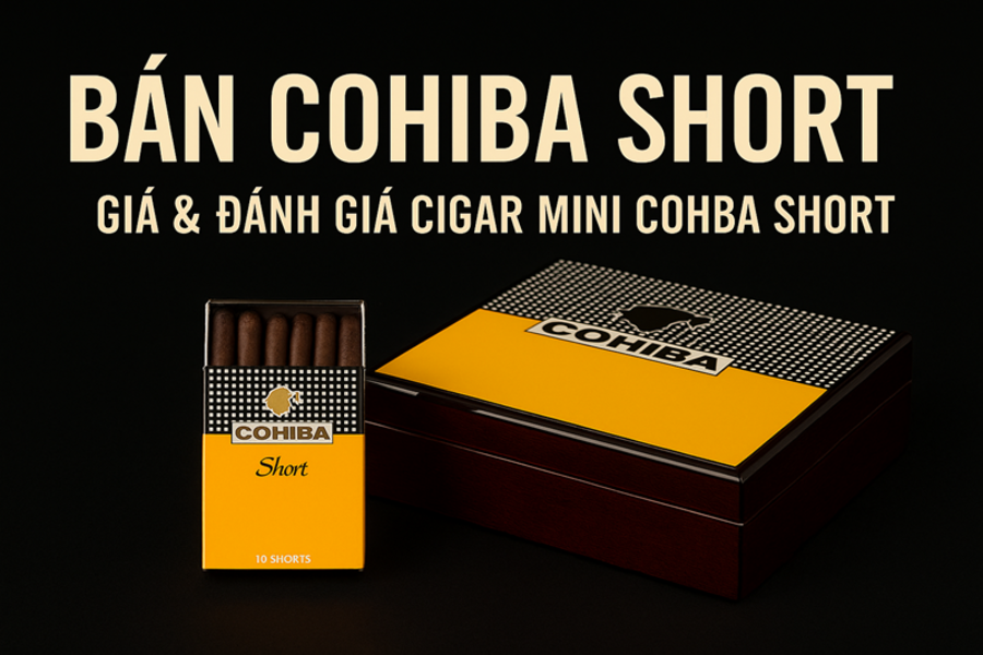 Bán Cohiba Short – Giá & Đánh Giá Cigar Mini Cohiba Short Mới Nhất 2025
