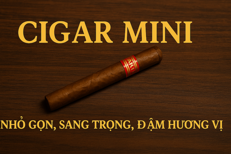 Cigar Mini – Thế Giới Xì Gà Nhỏ Gọn, Tiện Lợi Và Đẳng Cấp Cho Người Sành