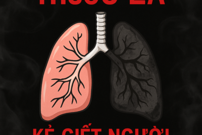 Tác Hại Của Thuốc Lá – Sát Thủ Thầm Lặng Đối Với Sức Khỏe Con Người