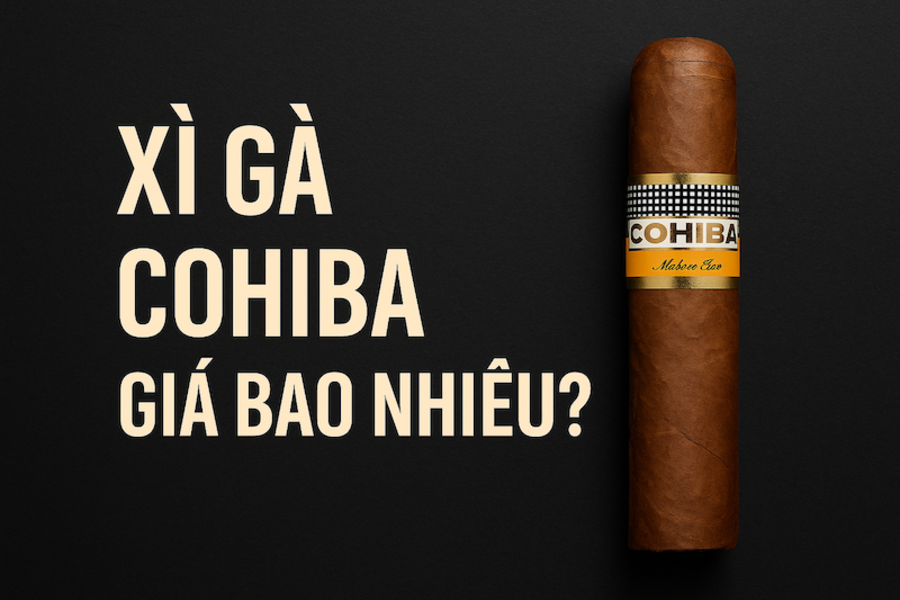 XÌ GÀ COHIBA GIÁ BAO NHIÊU? BẢNG GIÁ MỚI NHẤT 2025 & NƠI MUA CHÍNH HÃNG