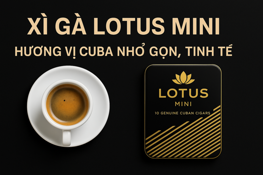 XÌ GÀ LOTUS MINI – HƯƠNG VỊ CUBA NHỎ GỌN, SANG TRỌNG & ĐẬM CHẤT QUÝ ÔNG