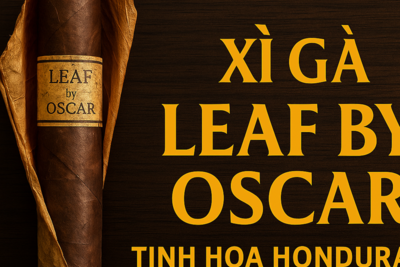 Xì Gà Leaf by Oscar – Tinh Hoa Cigar Thủ Công Từ Honduras (Cập Nhật 2025)