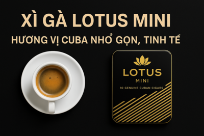 XÌ GÀ LOTUS MINI – HƯƠNG VỊ CUBA NHỎ GỌN, SANG TRỌNG & ĐẬM CHẤT QUÝ ÔNG