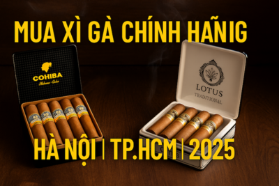 MUA XÌ GÀ CHÍNH HÃNG TẠI VIỆT NAM – HƯỚNG DẪN TỪ A-Z 2025