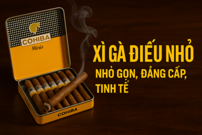 XÌ GÀ ĐIẾU NHỎ -NHỎ GỌN, TINH TẾ, DÀNH CHO NGƯỜI SÀNH CIGAR HIỆN ĐẠI