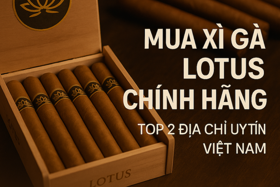 Mua Xì Gà Lotus Chính Hãng Ở Đâu | Top 2 Địa Chỉ Uy Tín Nhất Việt Nam 2025