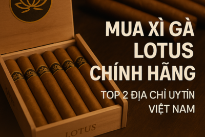 Mua Xì Gà Lotus Chính Hãng Ở Đâu | Top 2 Địa Chỉ Uy Tín Nhất Việt Nam 2025