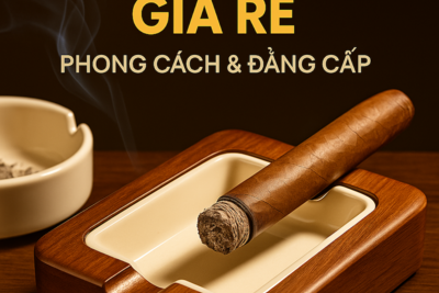 Gạt Tàn Xì Gà Giá Rẻ – Hướng Dẫn Chọn Mua, Cách Sử Dụng Và Địa Chỉ Mua Chính Hãng Uy Tín