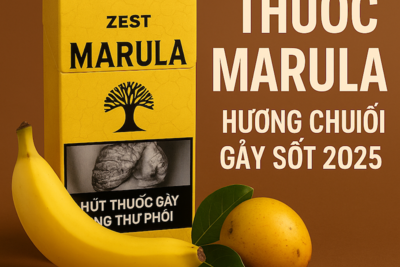 Thuốc Marula – Hương Chuối Zest Độc Đáo, Giá Bao Nhiêu Và Mua Ở Đâu Chính Hãng?
