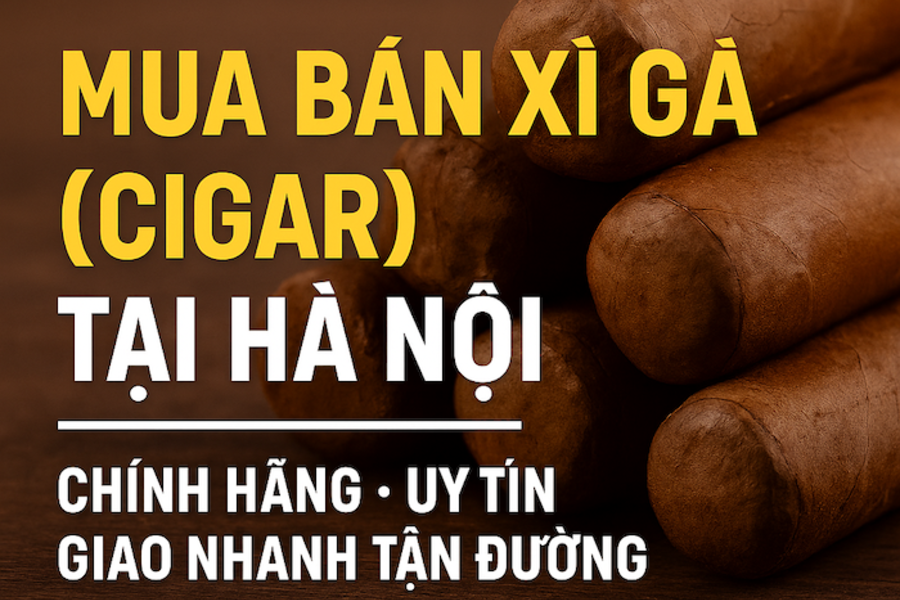 Mua Bán Xì Gà (Cigar) Tại Hà Nội – Chính Hãng, Uy Tín, Giao Nhanh Tận 193 Tuyến Đường