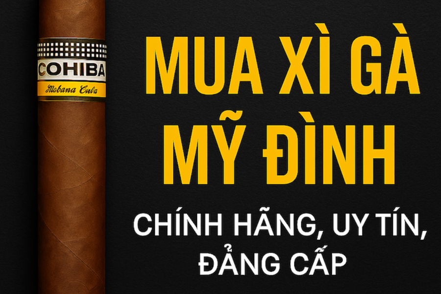 Mua Xì Gà Mỹ Đình – Địa Chỉ Uy Tín, Hàng Chính Hãng Tại Hà Nội