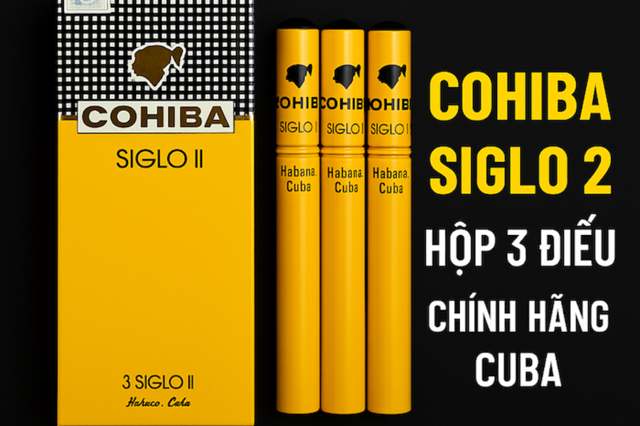 Cohiba Siglo 2 Hộp 3 Điếu – Review, Hương Vị & Giá Bán Chính Hãng 2025