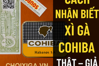 Cách Nhận Biết Xì Gà Cohiba Thật – Giả Chính Xác 100% | Hướng Dẫn 2025