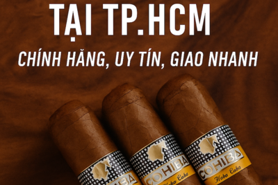 Mua Bán Xì Gà (Cigar) Tại TP.HCM – Chính Hãng, Uy Tín, Giao Nhanh Toàn Thành Phố
