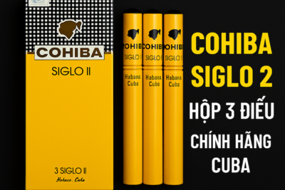 Cohiba Siglo 2 Hộp 3 Điếu – Review, Hương Vị & Giá Bán Chính Hãng 2025