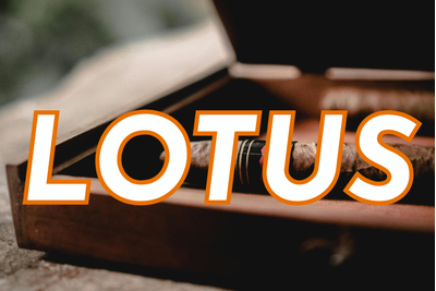 Thuốc Lotus - Xì gà và thuốc lá cao cấp của Việt Nam