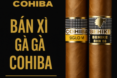 Cigar Cohiba Siglo VI – Đỉnh Cao Hương Vị Cigar Cuba Chính Hãng | Giá, Hộp & Phụ Kiện Cohiba 2025