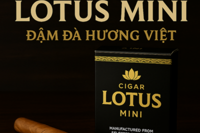 Cigar Lotus Mini – Xì Gà Mini Cao Cấp Chính Hãng, Hương Vị Tinh Tế | Cập Nhật Giá 2025