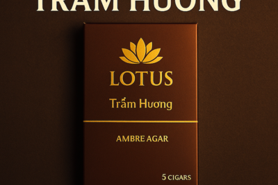Cigar Lotus Trầm Hương – Xì Gà Việt Nam Cao Cấp, Đậm Đà Hương Việt | Mua Ở Đâu Chính Hãng