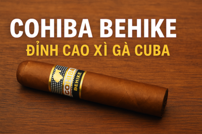 Cohiba Behike 56 – Giá, Review, Nơi Bán Uy Tín Tại Hà Nội & TP.HCM