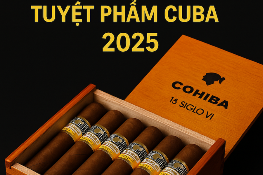Cohiba Siglo 6 – Giá Cigar Siglo 6 Mới Nhất 2025 | Hộp 3, Tubos, 25 Điếu Chính Hãng