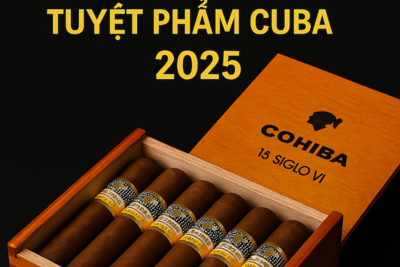 Cohiba Siglo 6 – Giá Cigar Siglo 6 Mới Nhất 2025 | Hộp 3, Tubos, 25 Điếu Chính Hãng