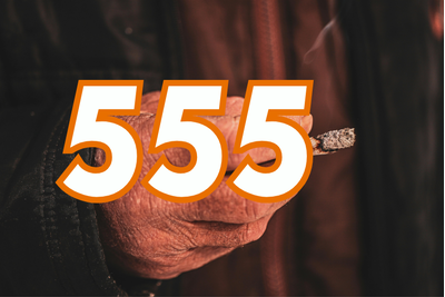 Thuốc lá 555 ngoại vì sao có sức hút với người tiêu dùng Việt đến vậy?