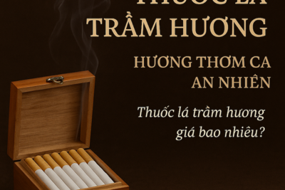 Thuốc Lá Trầm Hương Giá Bao Nhiêu? | Hút Thuốc Lá Cho Trầm Hương – Hương Thơm An Nhiên