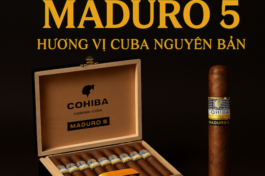 Cigar Cohiba Maduro 5 – Hương Vị Cuba Đậm Đà, Quyến Rũ | Secretos Box of 10 Chính Hãng