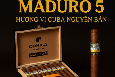 Cigar Cohiba Maduro 5 – Hương Vị Cuba Đậm Đà, Quyến Rũ | Secretos Box of 10 Chính Hãng
