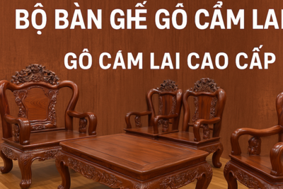 Giá Bộ Bàn Ghế Gỗ Cẩm Lai Tay 14 Mới Nhất 2025 | Sang Trọng – Đẳng Cấp – Bền Vững