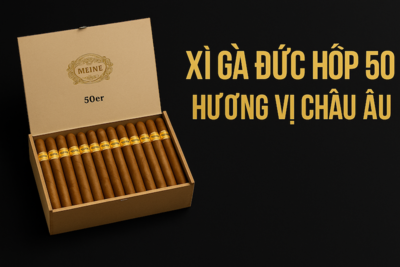 Xì Gà Meine 50er & 60er – Xì Gà Đức Hộp 50 Điếu Cao Cấp | Hương Vị Chuẩn Châu Âu