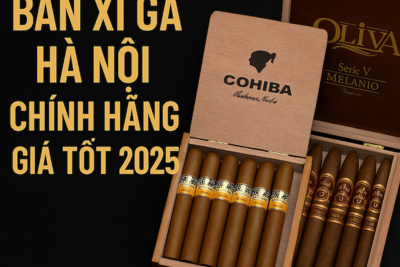 Bán Xì Gà Hà Nội | Cửa Hàng Bán Xì Gà Cuba, Oliva, Toscanello Chính Hãng Uy Tín 2025