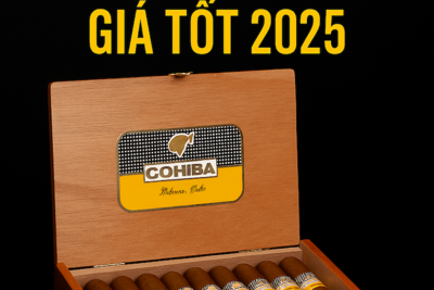 HCM Bán Xì Gà Cuba Chính Hiệu | Mua Xì Gà Lẻ, Cohiba Habana Giá Tốt, Chính Hãng 100%