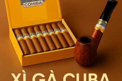 Mua Xì Gà Cuba Ở TPHCM | Shop Bán Xì Gà Chính Hãng, Mini, Sữa, Giá Tốt 2025