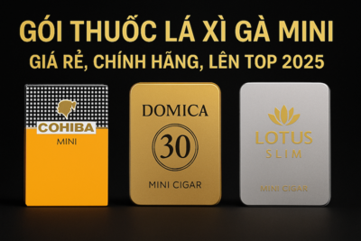 Gói Thuốc Lá Xì Gà Mini | Giá Rẻ, Chính Hãng 2025 – Cohiba, Lotus Slim, Domica