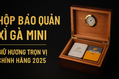 Hộp Bảo Quản Xì Gà Mini | Giữ Hương Trọn Vị – Cigar Chính Hãng 2025
