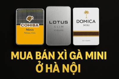 Mua Bán Xì Gà Mini Ở Hà Nội | Giá Chuẩn 2026