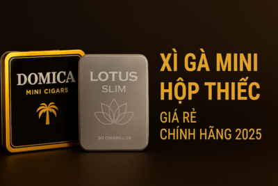 Xì Gà Mini Hộp Thiếc | Giá Rẻ, Chính Hãng 2025