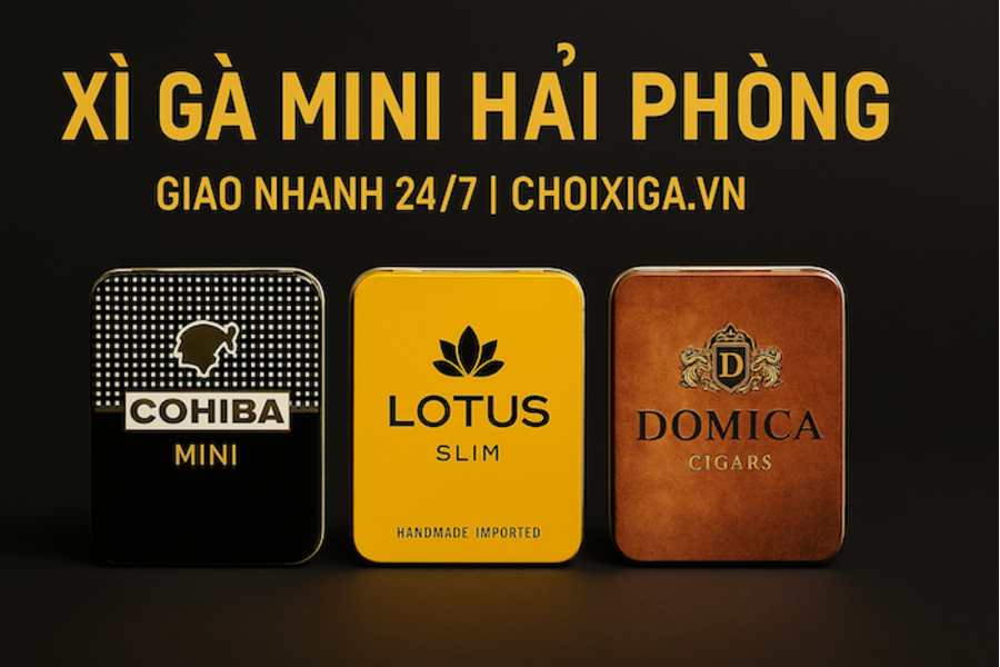 Xì Gà Mini Hải Phòng | Mua Chính Hãng – Giao Nhanh 24/7 Tại Choixiga.vn