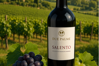 Tìm hiểu về Due Palme - Loại rượu vang nổi tiếng trên toàn thế giới!