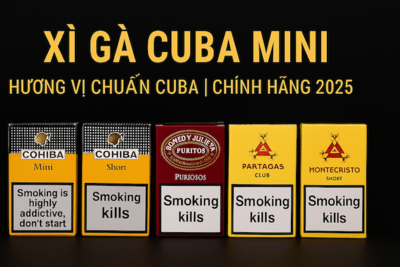 Xì Gà Cuba Mini | Cigar Mini Chính Hãng – Giá Mới Nhất 2025