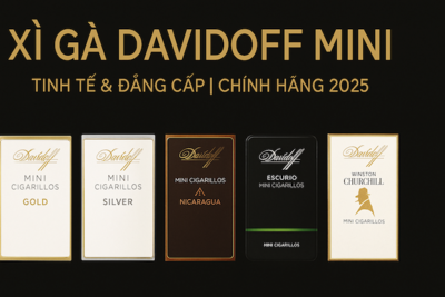 Xì Gà Davidoff Mini | Cigar Mini Cao Cấp – Hương Vị Tinh Tế Chính Hãng 2025