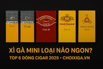 Xì Gà Mini Loại Nào Ngon? Top 6 Dòng Cigar Mini Chính Hãng 2025