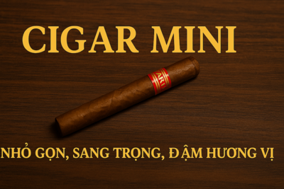 Xì Gà Gói 5 Điếu Giá Bao Nhiêu? | Toscanello 5 Điếu – Cigar Ý Chính Hãng Giá Rẻ 2025